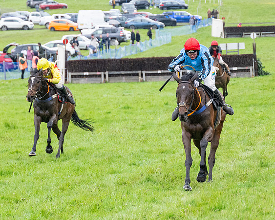 Race 8 - Bumper Div 2 (60 of 84)