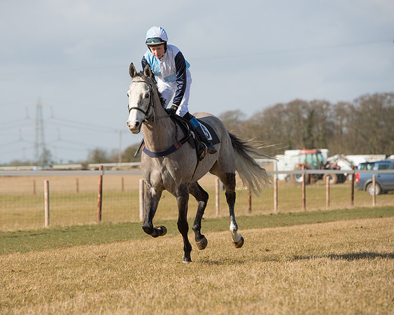 Race 1 - 4-5-6 Maiden (48 of 119).jpg
