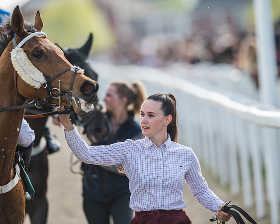 Race 1 - The open Hunter chase  (88 of 95)
