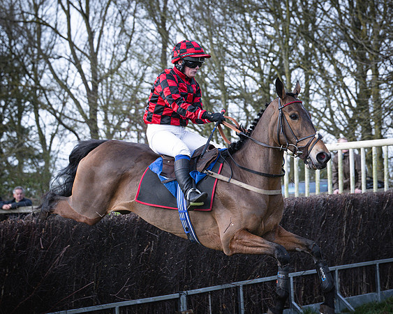 Race 2 - Maiden (94 of 145)