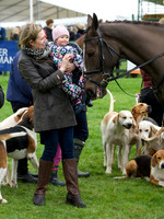Pytchley - Hounds and friends 19