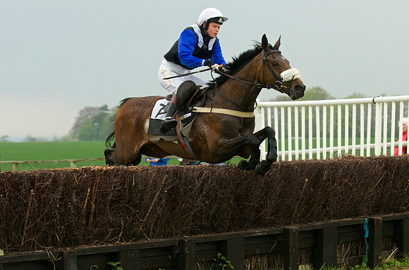 Old Berks at Lockinge Mixed Open Race