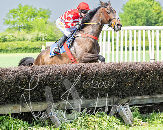 Race 2 - Restricted  (214 of 308)