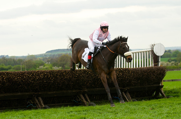 Race 4 - Nov-vets 26