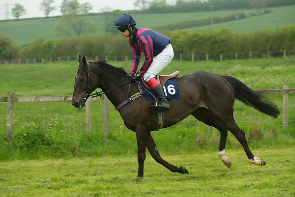Race 2 - Novices 11