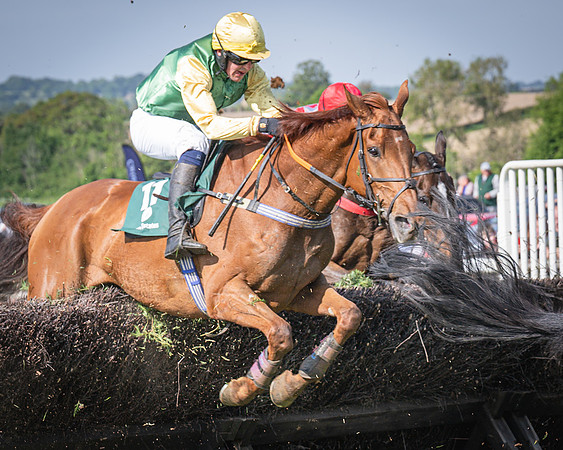 Race 5 - Restricted (65 of 116)
