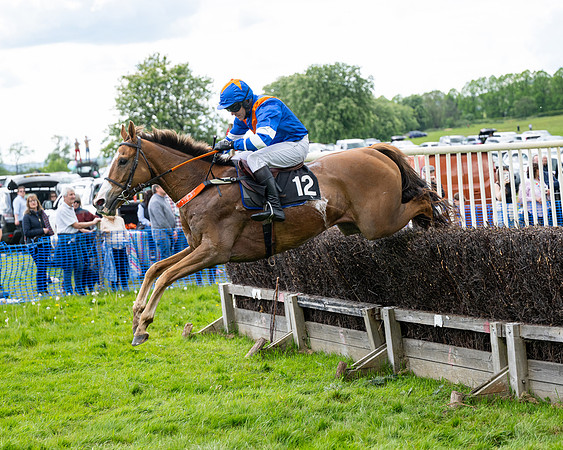 Race 5  - Maiden  (44 of 84)