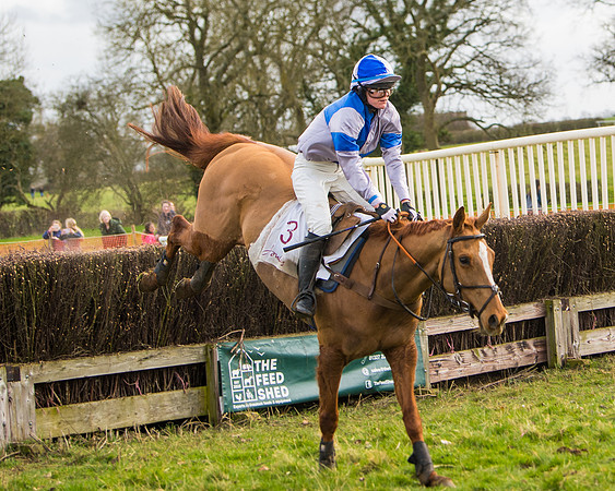 Race 3 - Restricted  (74 of 100)