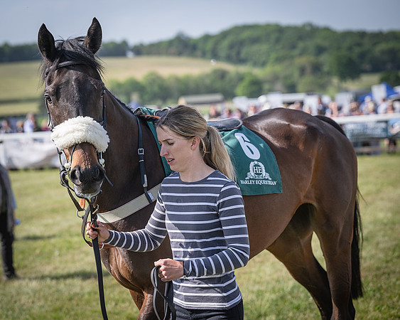 Race 5 - Restricted (16 of 116)