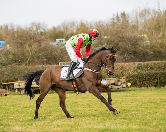 Race 2 - Open Maiden (15 of 128)
