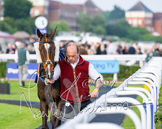 Race 4 - Stratford Foxhunters (13 of 145)