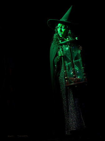 The Wizard of OZ -  348