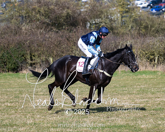 Race 1 - Maiden (43 of 188)