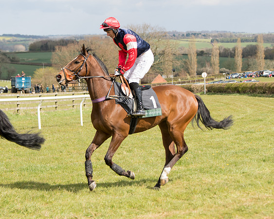Race 2 - Young Horse Maiden (27 of 104)
