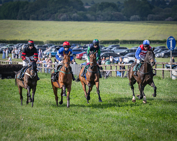 Race 6 - 2m5f Conditions (35 of 70)