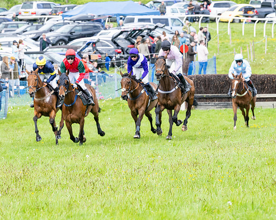 Race 2 - Veteran Horse (10 of 80)