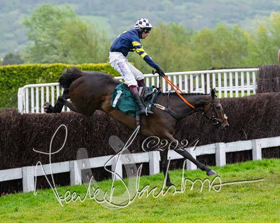 Race 5 - Mares Open  (54 of 129)