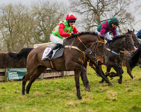 Race 2 - Open Maiden (87 of 128)