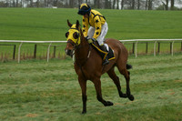 Race 5 - Restricted 16