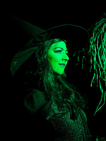 The Wizard of OZ -  189