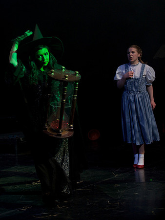 The Wizard of OZ -  350