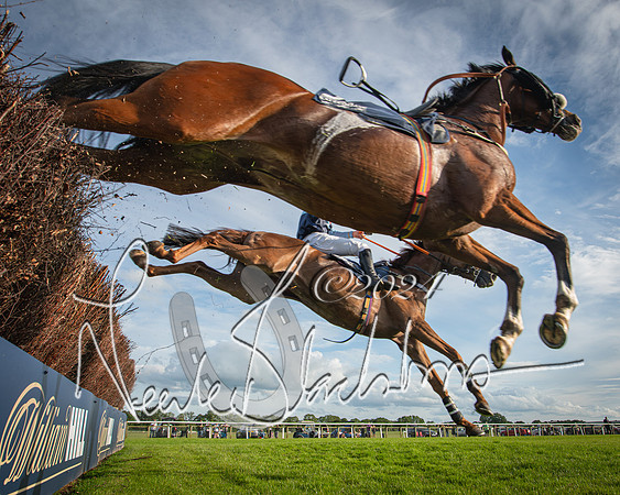 Race 3 - The pointtopoint.co.uk champion novices’ Hunter Chase (119 of 140)