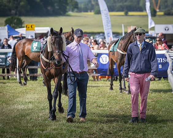 Race 5 - Restricted (14 of 116)