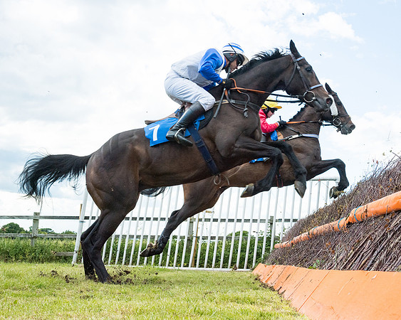 Race 5 - Restricted  (53 of 136)
