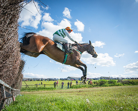 Race 5 - F N Pile and Sons PPORA Novice Riders (70 of 151)