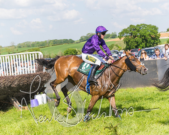 Race 4 - PPORA Novice Riders Final  (189 of 362)