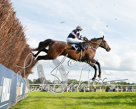 Race 3 - The pointtopoint.co.uk champion novices’ Hunter Chase (103 of 140)