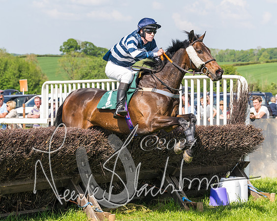Race 4 - PPORA Novice Riders Final  (165 of 362)