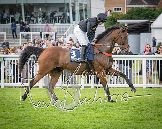 Race 2 - Olly Murphy Racing Stratford Ladies Open (47 of 111)