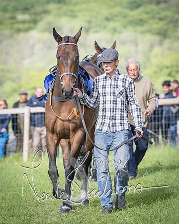 Race 6 - Thorn Plant Hire Maiden Race (18 of 129)