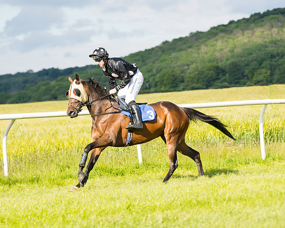 Race 6 - Open Maiden (32 of 227)