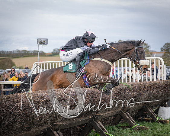 Race 3 - 5 years old and Over Maiden Race (61 of 130)