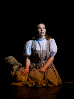 The Wizard of OZ -  10