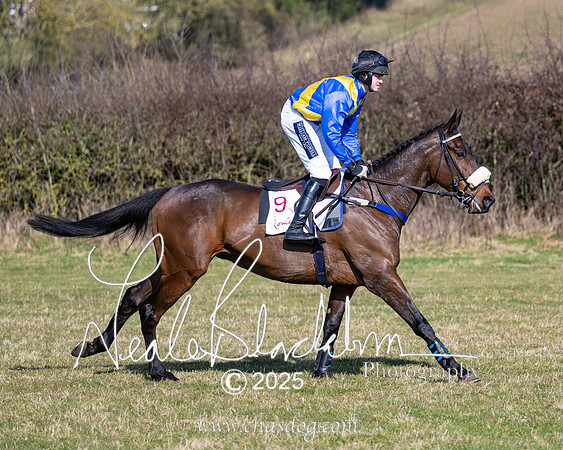 Race 1 - Maiden (59 of 188)
