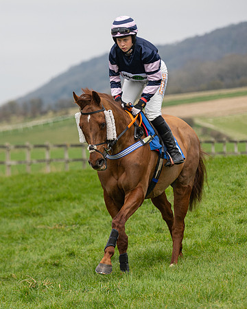 Race 2 - Veteran Horse (4 of 153)