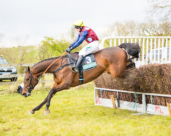 Race 5 - Restricted  (60 of 118)