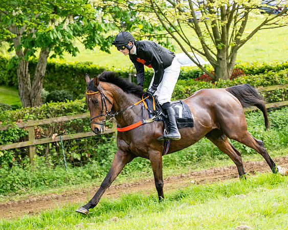 Race 5  - Novice riders (8 of 188)
