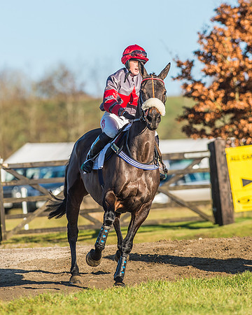 Race 1 - PPORA Novice Riders Race-11