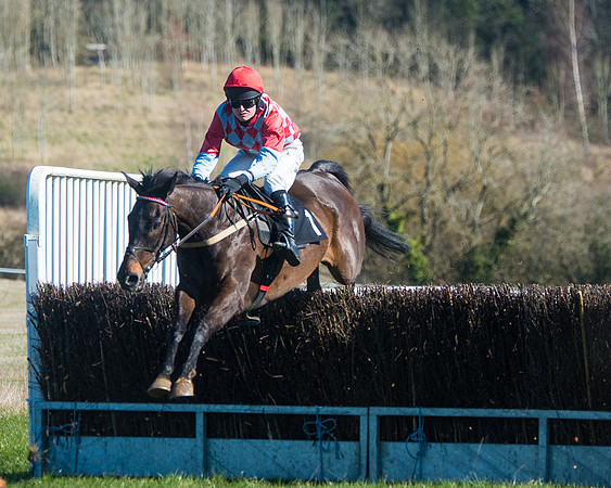 Race 2 - Warwick racecourse conditions  (20 of 122)