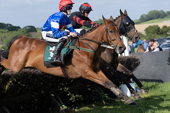 Race 6 - 2m5f Conditions (47 of 70)