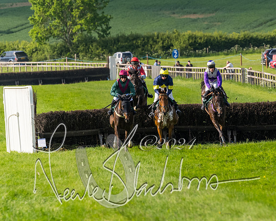 Race 6 - Owner trainer conditions (127 of 272)