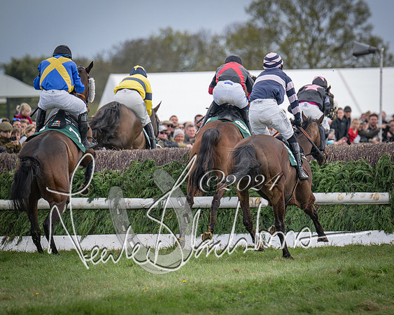 Race 3 - 5 years old and Over Maiden Race (54 of 130)