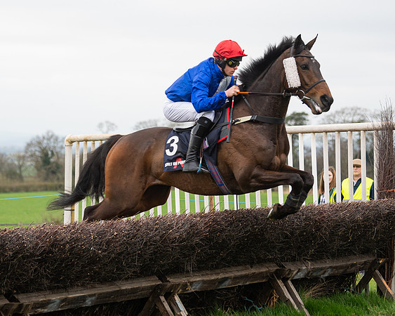 Race 5 - The Ineos Home Counties Grand National (41 of 133)