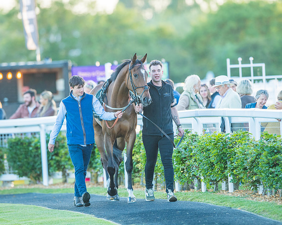 Race 7 - ITM Bumper (4 of 72)