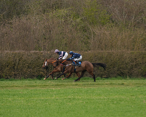 Race 2 - Veteran Horse (84 of 153)