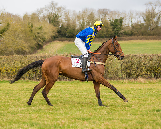 Race 2 - Open Maiden (36 of 128)